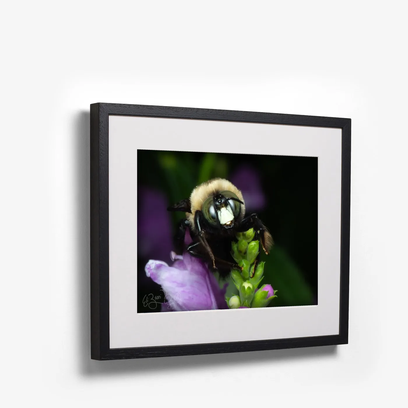 Bee shown as black box frame
