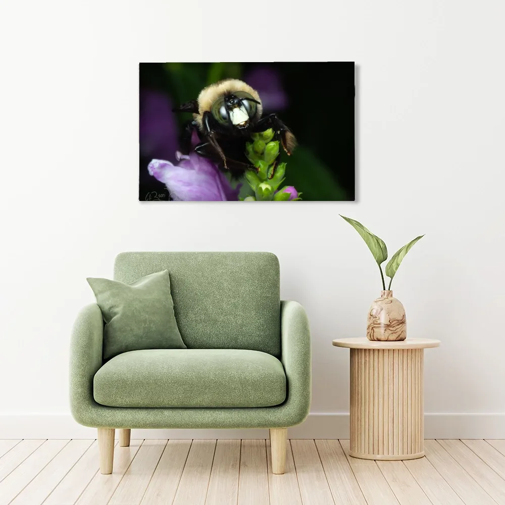 Bee shown as stretched canvas