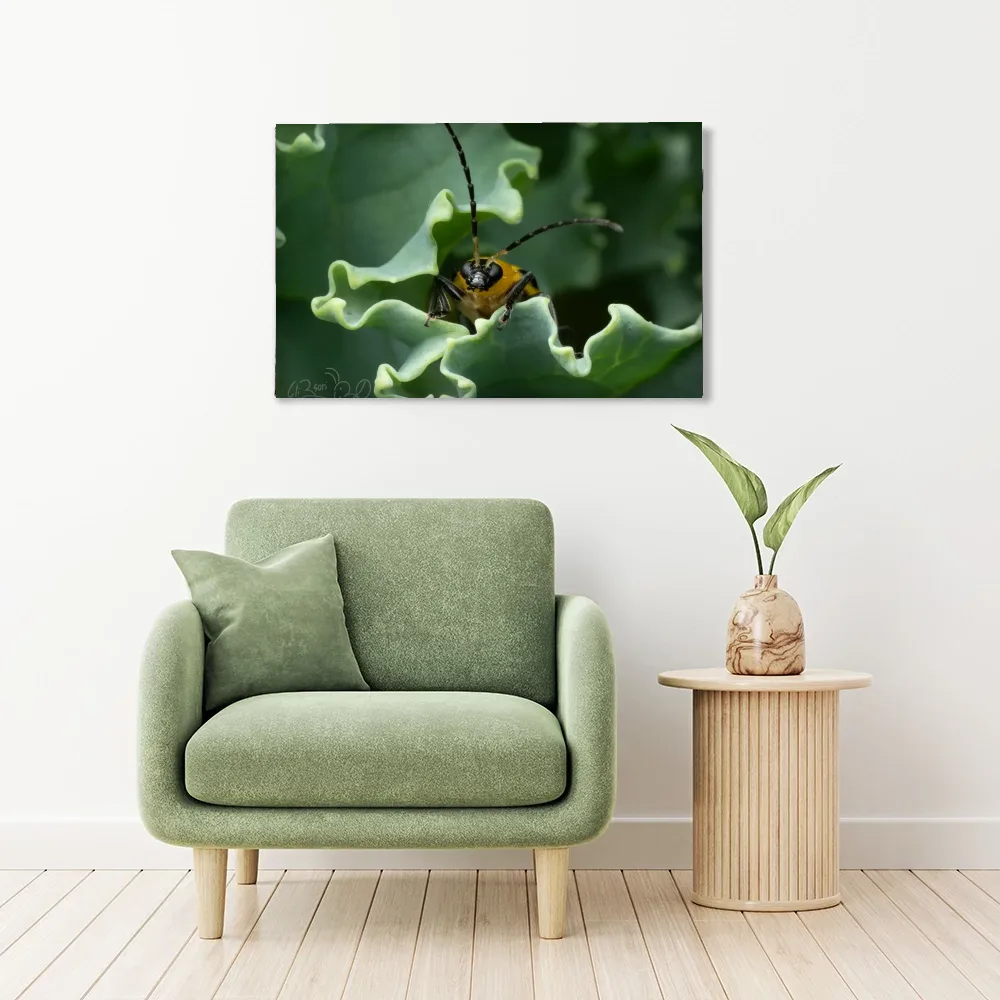Beetle in Kale shown as stretched canvas