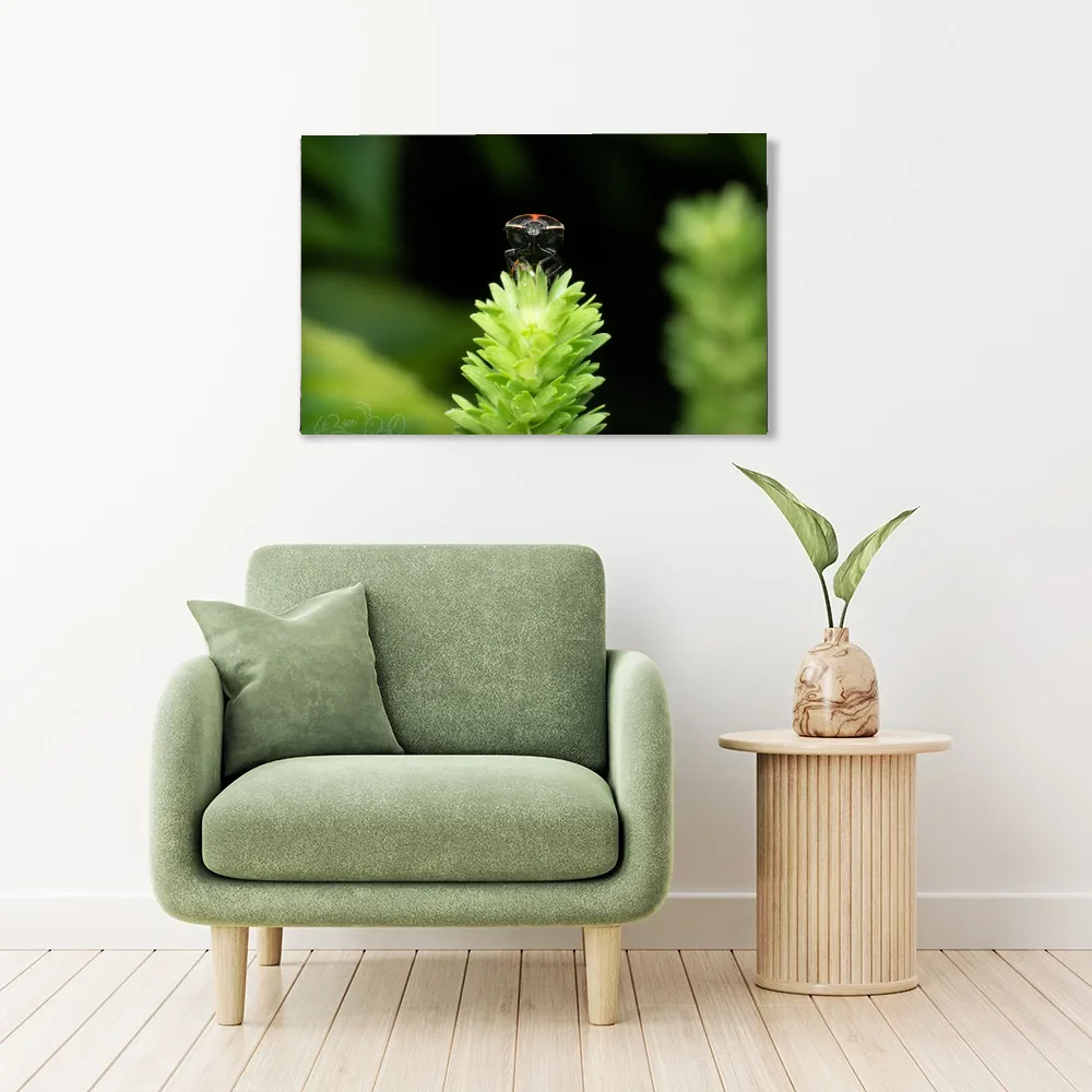 Ladybug shown as stretched canvas