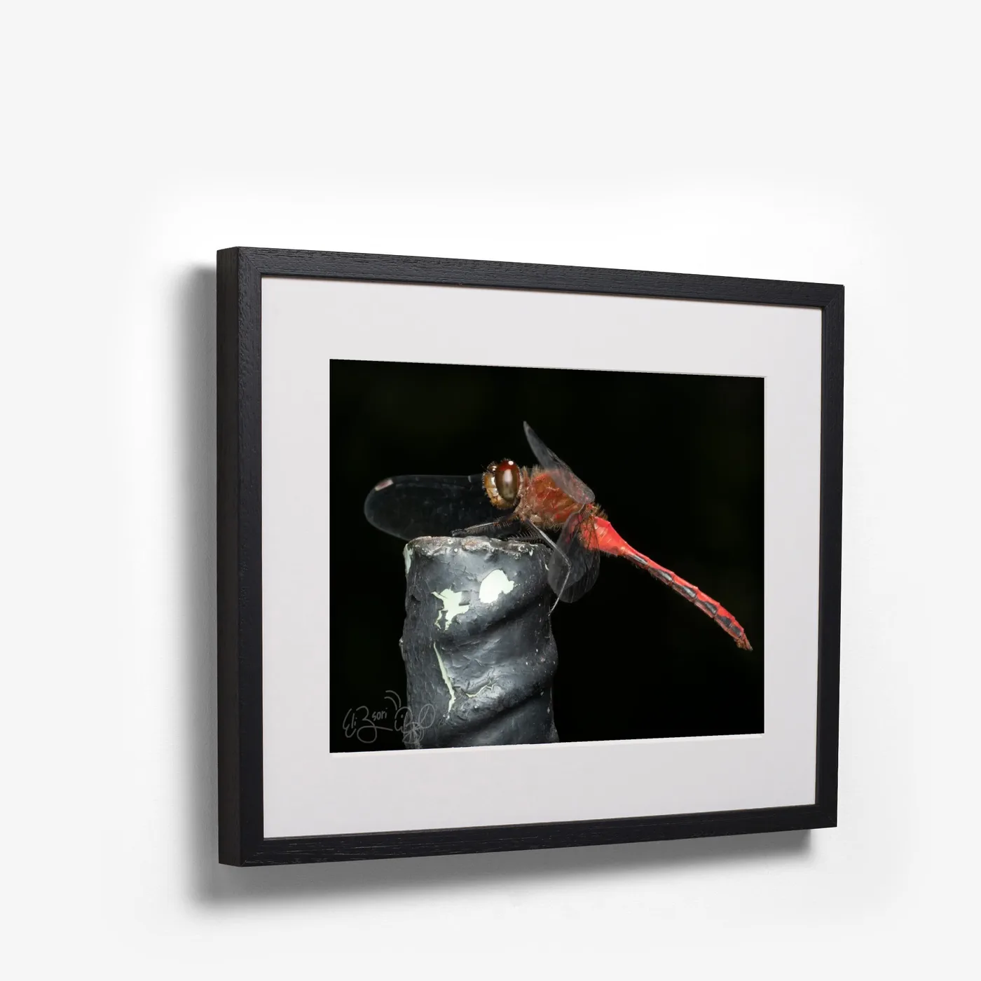 Meadowhawk shown as black box frame