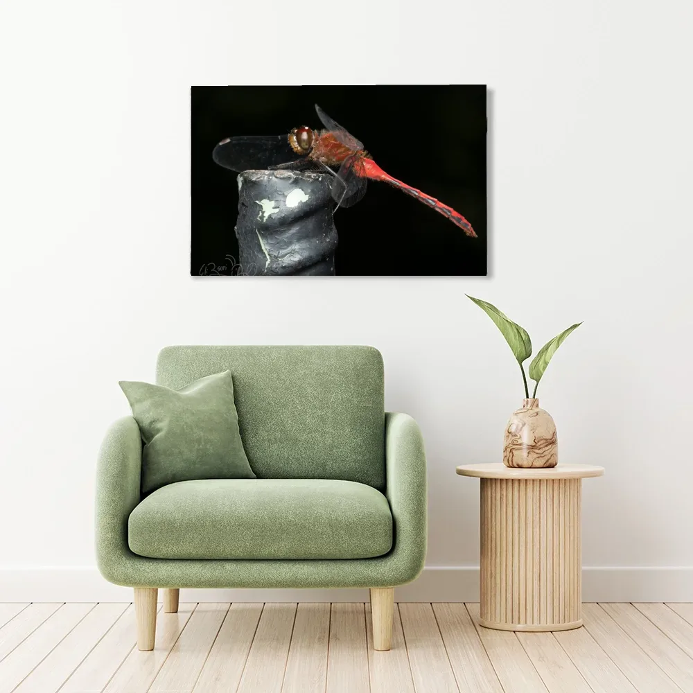 Meadowhawk shown as stretched canvas